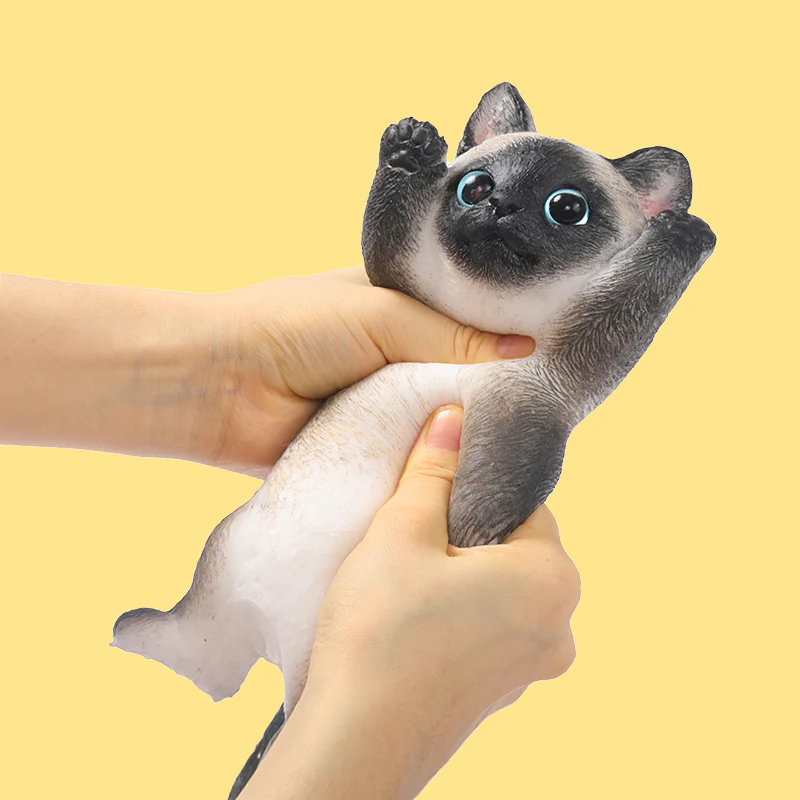 Brownie Cheer Kitty Taba Squishy - Image 2